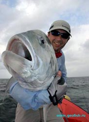 ���������� �������